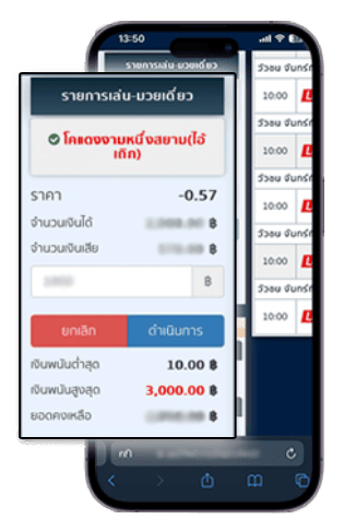 ตัวอย่างบิลวัวชน